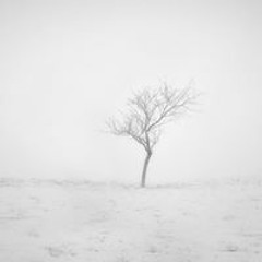 goon_zh97