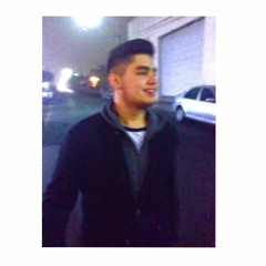 Guillermo J Martínez