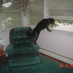 Kathy Carolan Memoli