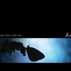 Fly