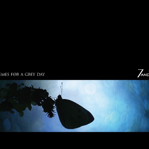 Fly