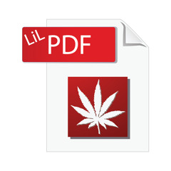 LiL PDF