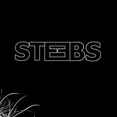 STEEBS