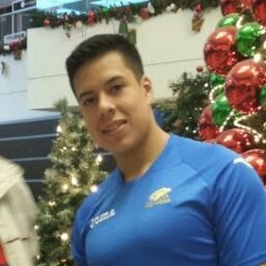 Emilio Santamaria-Rivas