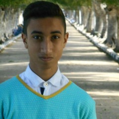 Yehia Abdelaal