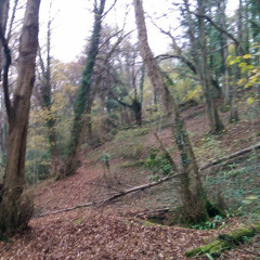 95 till infinity - Joey bada$$