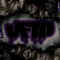 VFTP 13