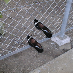 Taylor Renee Griffis