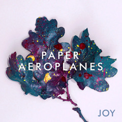 Paper Aeroplanes