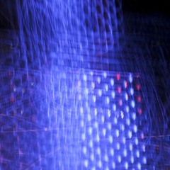 La Blancheur des Cygnes