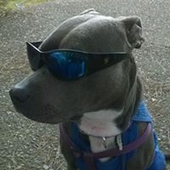 Ronnie E. Morrisette Jr