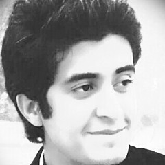 Waqar Ahmed Bashir
