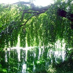 phillipsxavierphillips