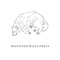 Wounded Wolf Press