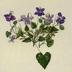 Jeanne Moberly Lloyd