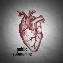 Public Submarine