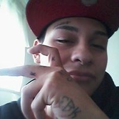 Sanchopaloduro Licea