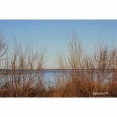 barrettconnerbarrett