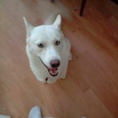 Jake Stanley Derek West