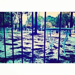 townsendmitchell2011