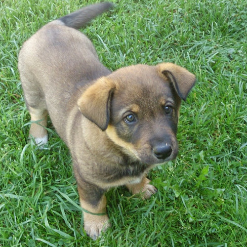 Stream ciarra Weir music | Listen to songs, albums, playlists for free on SoundCloud