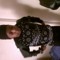 Shankky