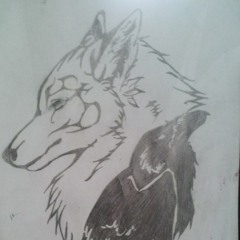 wolffaze
