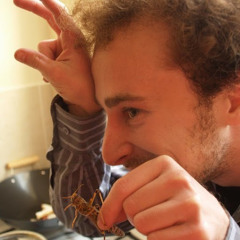 Nim The Coder