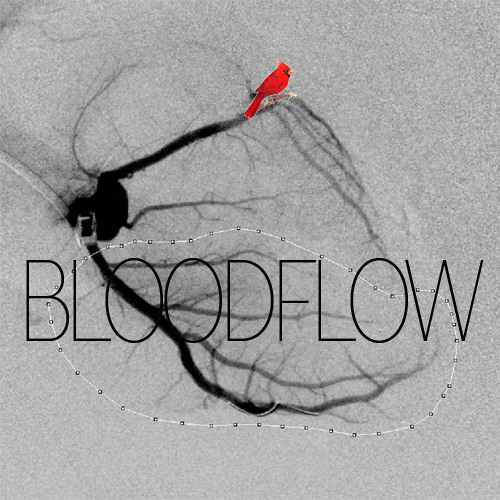 Bloodflow’s avatar