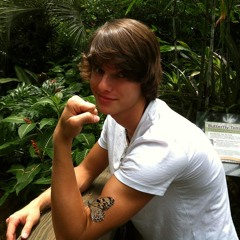 Brobdingnagianus phallus