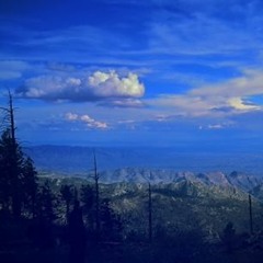 kathrynmcguirekathryn