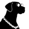 Dogz 'N Bonez