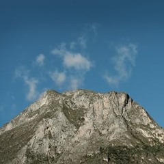 sophiacrawfordsophia