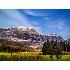 dominickscottdominick