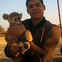 Mohamed Ali