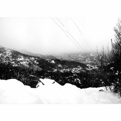 caitlynhaynescaitlyn