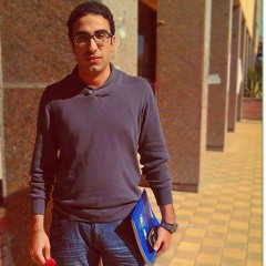 Mohamed Fares 2