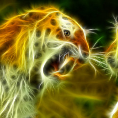 tigermorgan