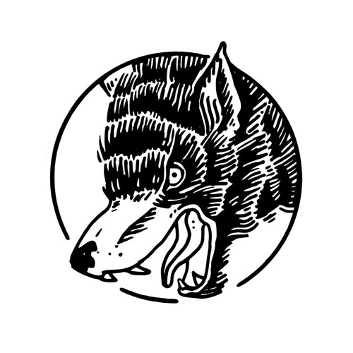 Lobo Negro Records’s avatar