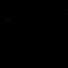 Wael Abdel Hady Mohamed