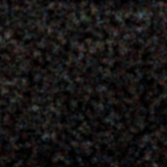 killer trees arent real