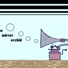 The Mirror Orchid