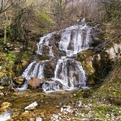 saunderscamdensaunders