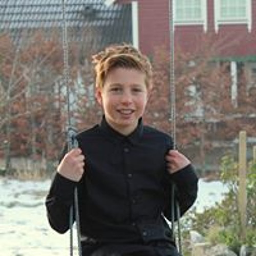Andor Lilleås’s avatar
