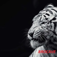 BROCAVE