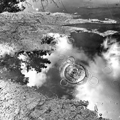 riveradaniellerivera