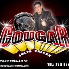 SONIDO COUGAR NY