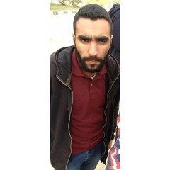 Mahmoud M Metwaly