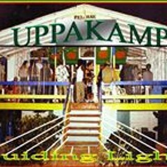 Uppakamp Guiding Light