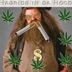 Hagrid